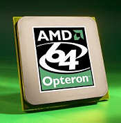 AMD Opteron Chip