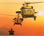 Black Hawk Helicopters