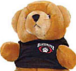 Blackwater Bear