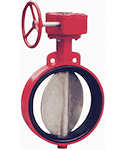 Butterfly Valve