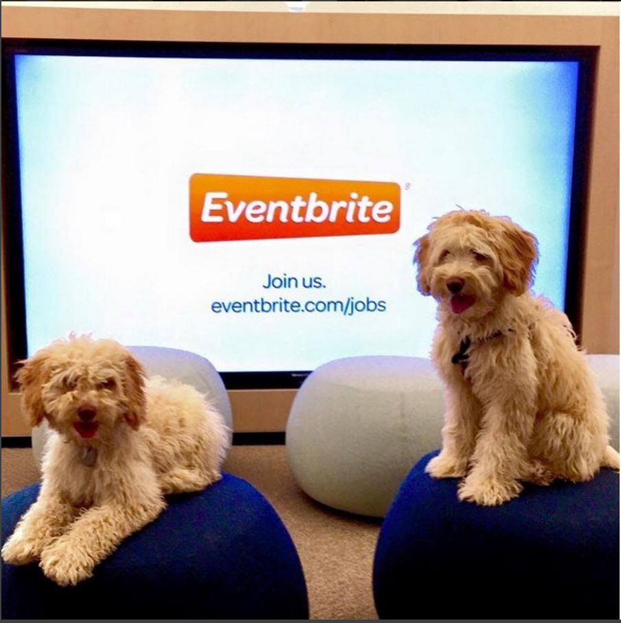 Eventbrite Instagram Post via https://www.instagram.com/p/032C0eyzj7/?taken-by=eventbrite [Fair Use]