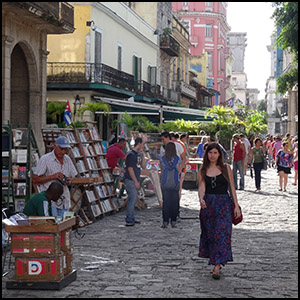 Poro en el mercado de libros usados by Javier Ignacio AcuÃ±a Ditzel [CC-BY-SA-2.0 (http://creativecommons.org/licenses/by-sa/2.0)], via Flickr https://flic.kr/p/5xQkWj [cropped]
