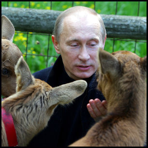 Putin Feeds Animals by premier.gov.ru [CC-BY-3.0 (http://creativecommons.org/licenses/by/3.0)], via Wikimedia Commons http://commons.wikimedia.org/wiki/File%3APutin_animals.jpeg